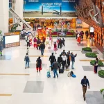 UAE India travel E-Arrival Card 2025