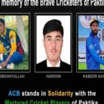 Airstrike Kills Cricketers