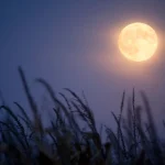 Does Earth Really Have a Second Moon – Gulf Repost