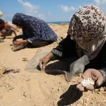 Gaza Conflict 2025 Civilians Endure Amid War and Ruins