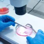 IVF And Biobanking to Rescue Endangered Species