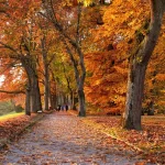 Top Fall Destinations 2025