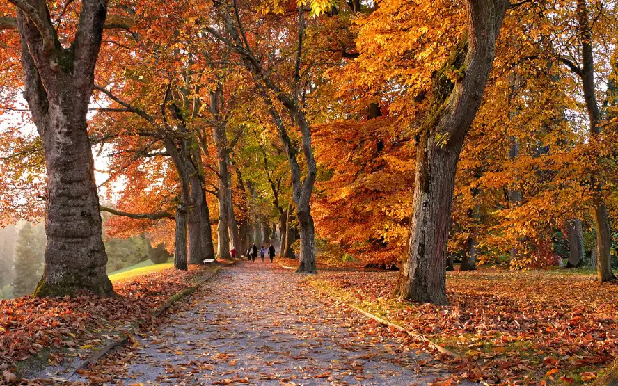 Top Fall Destinations 2025