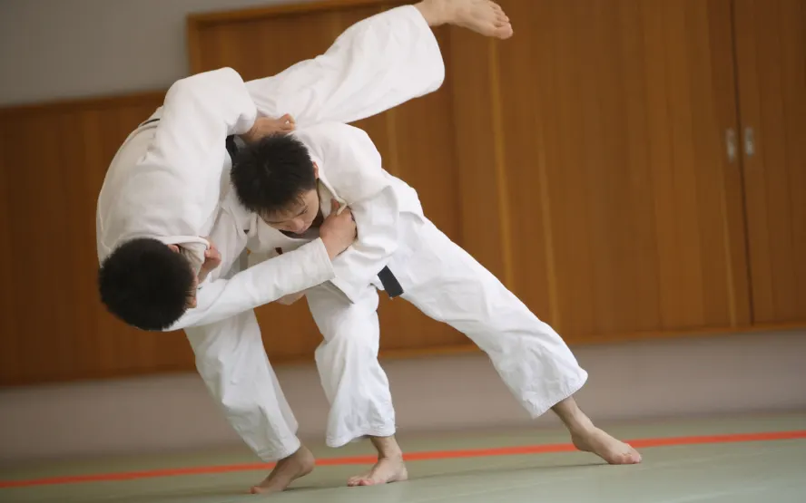 Professional Jiu‑Jitsu Championship