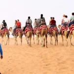 Dubai 17 Million Tourists 2025