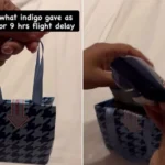 IndiGo Crisis Goodie Bag