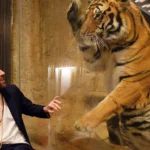 Lionel Messi Playing Football