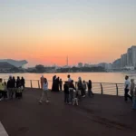 Marsa Boulevard Dubai Guide