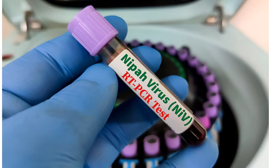Nipah Virus Outbreak India