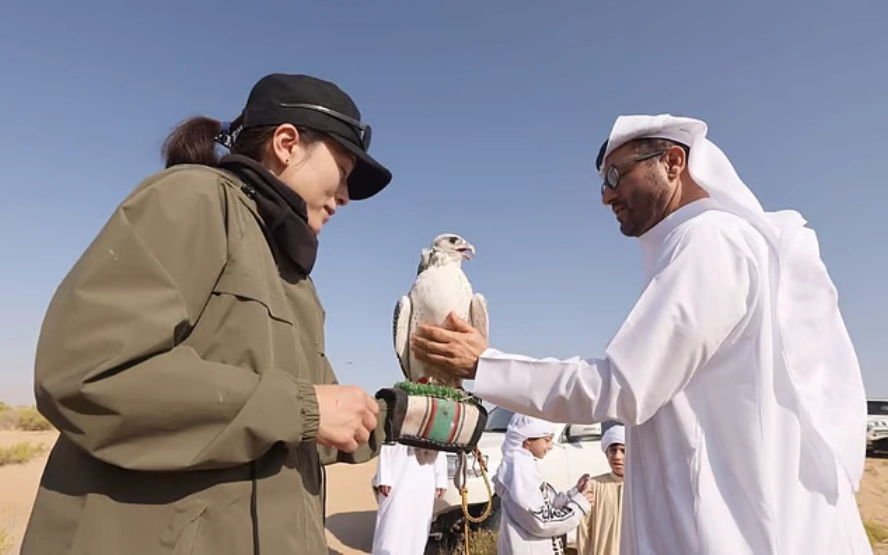 UAE Japan Falconry Programme 2026